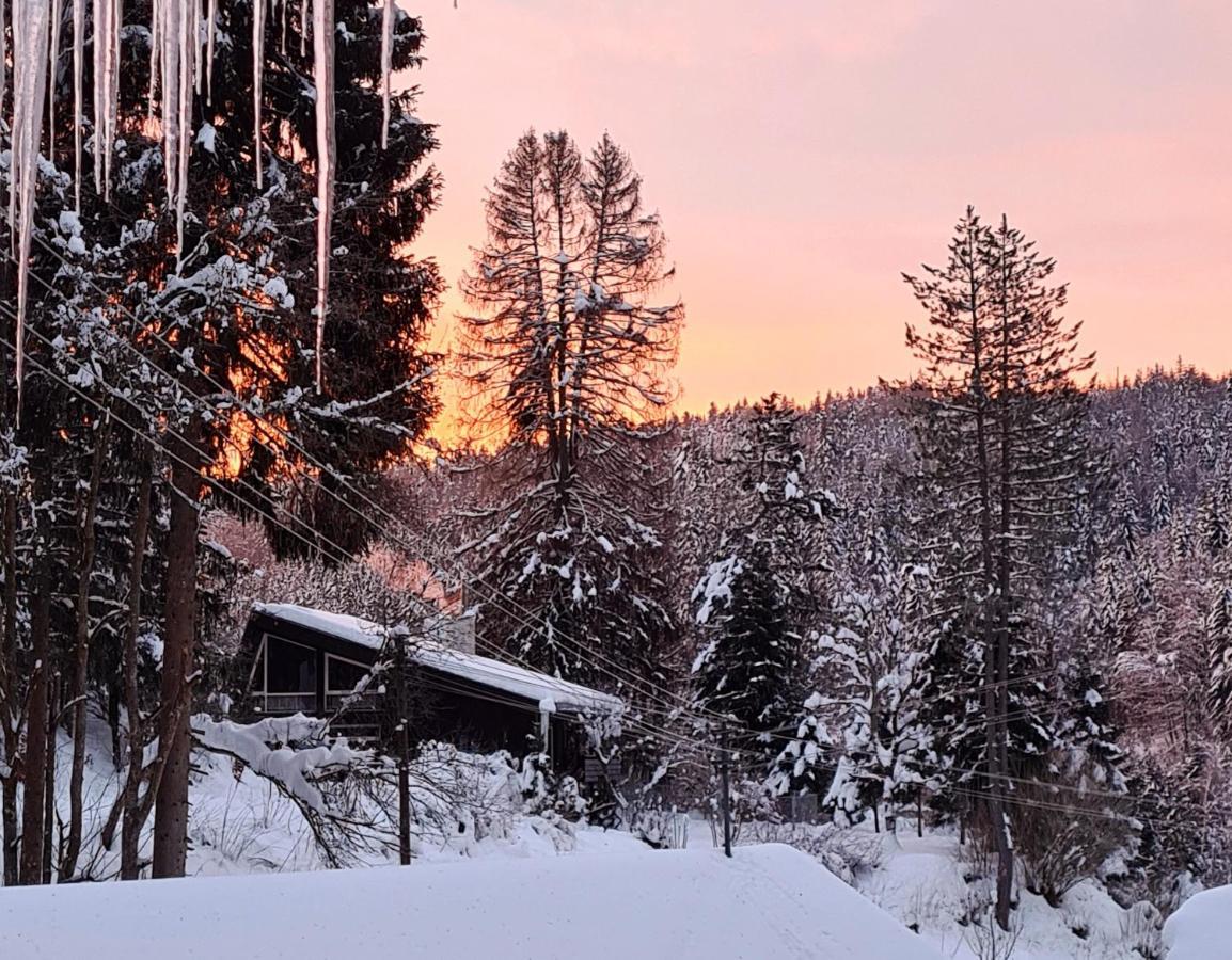Waldblick Ferienwohnungen ボンドルフ・イム・シュヴァルツヴァルト エクステリア 写真