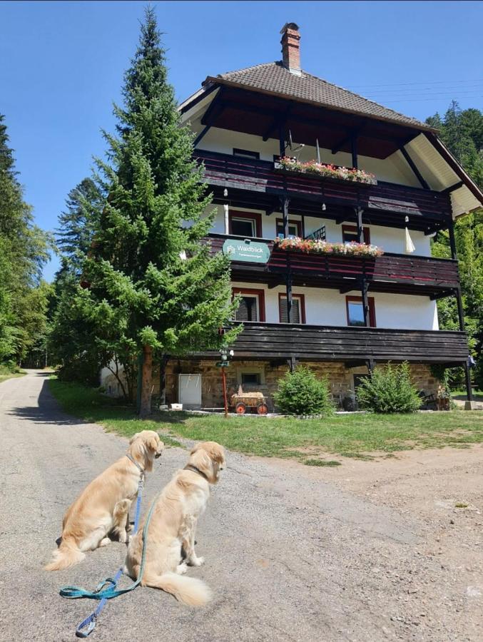 Waldblick Ferienwohnungen ボンドルフ・イム・シュヴァルツヴァルト エクステリア 写真